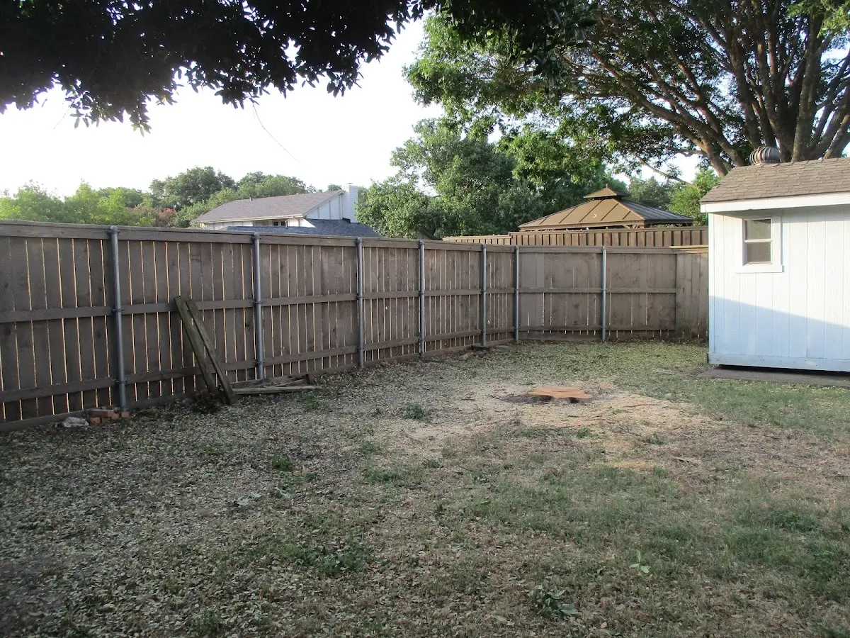 Cleared yard after professional tree removal in South Chatham